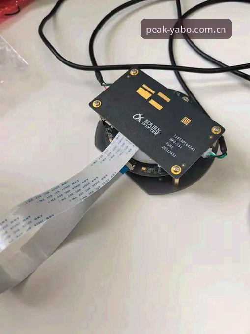 破解亚博官方入口安装失败的5个实操方案——从v3.2.1版实战经验出发